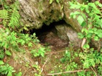 IMG_3789