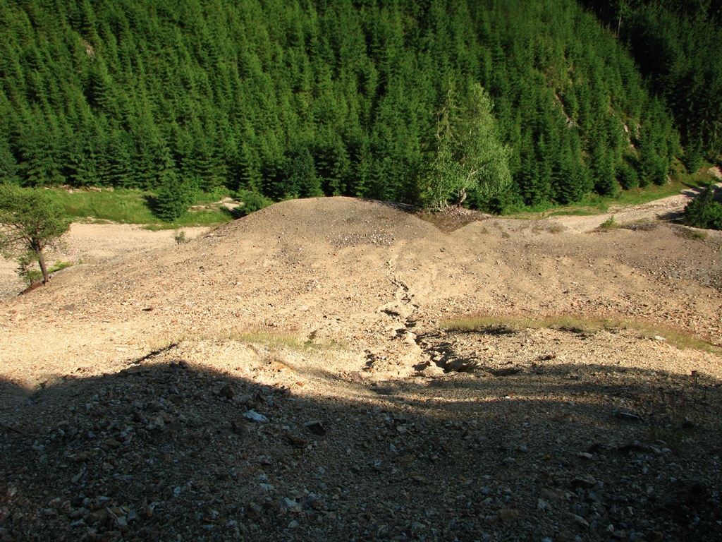 Loading Image
